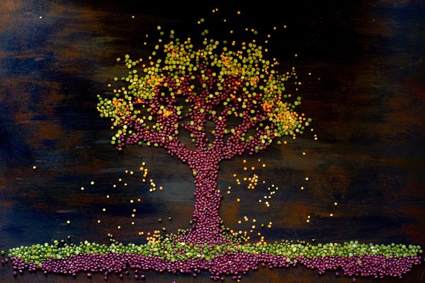 How to Choose the Right Kind of Plant-Based Fabrics for Your Office Wardrobe?